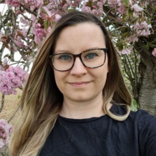 craft\elements\db\ElementQuery