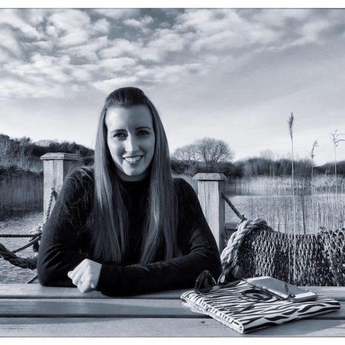 craft\elements\db\ElementQuery